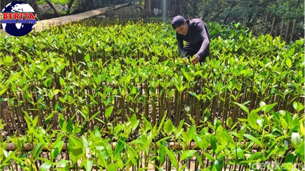 Jakarta Menanam Harapan Lewat 7 Wisata Hijau