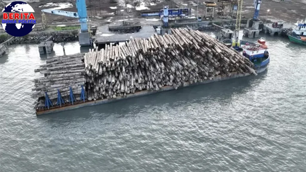 Mentawai baru Ilegal Logging, Negara Rugi Rp 447 M!