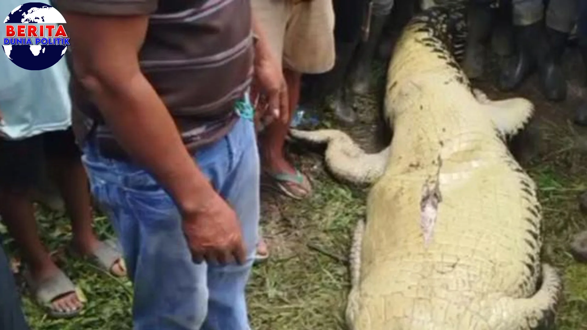 Ironi Luwu Niat Cari 2 Keluarga, Malah Jadi Korban Buaya