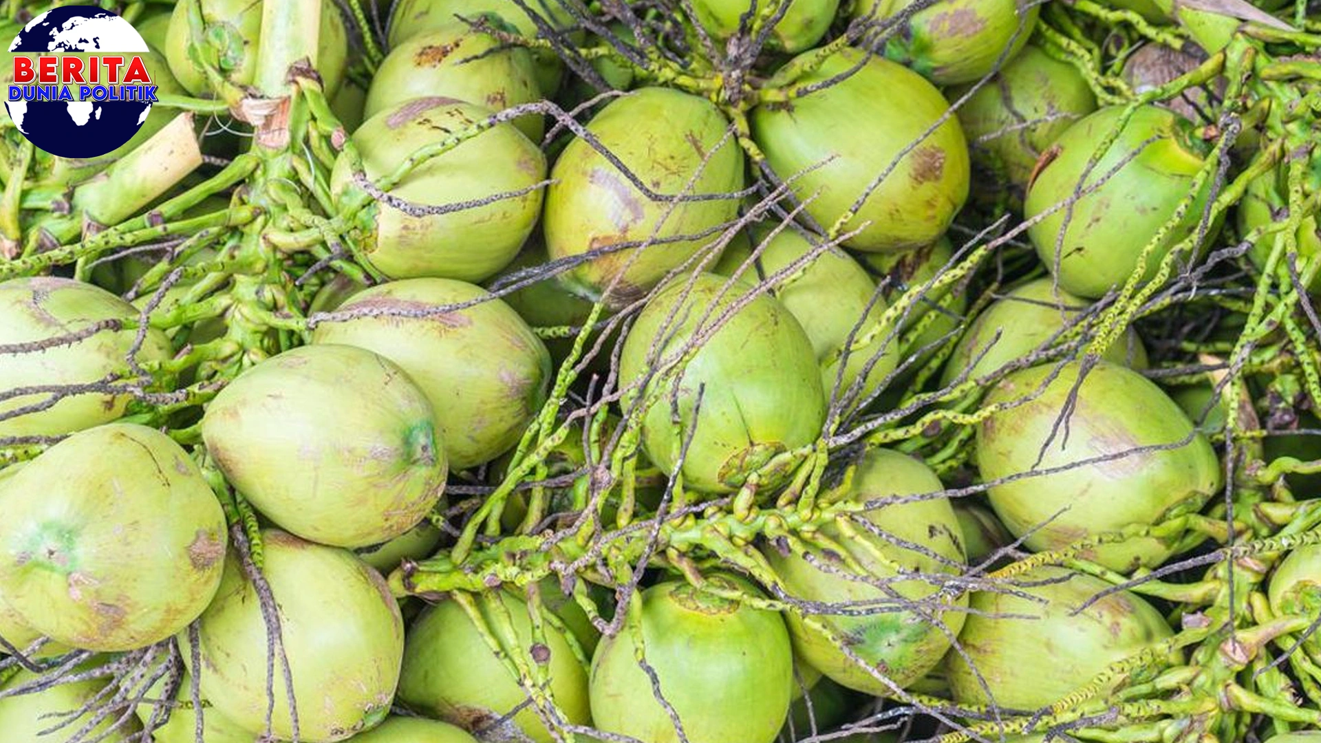 Kelapa Utuh: 3 SPPG Gresik dalam Terpaksa Tutup!