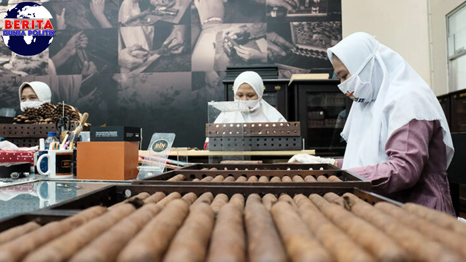 Kualitas Cerutu Dunia Ada Ketelitian Ibu2 Jember